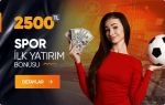 Promosyon