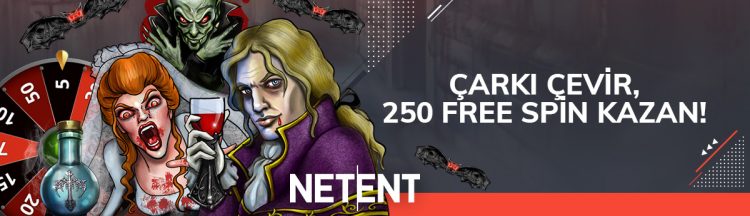 bahigo bonus 3