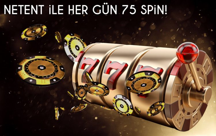 baysansli bonus 11