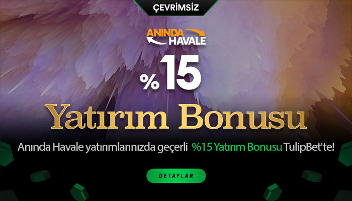 tulipbet-havale