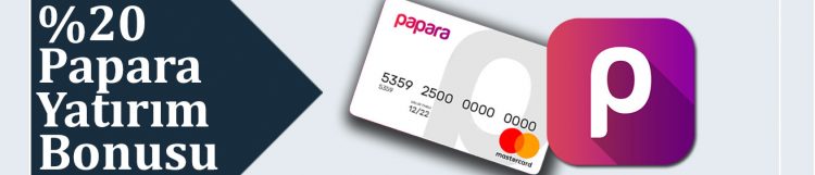 wsbets-papara