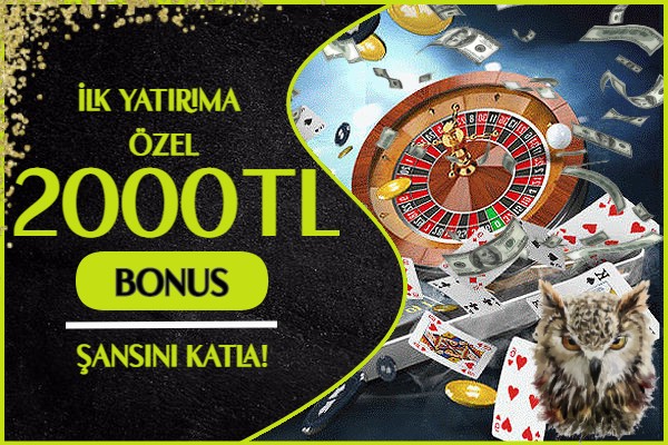bykus-ilk-yatirim